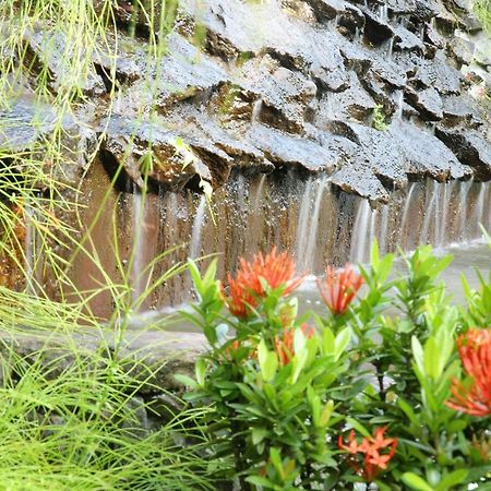 Ayurveda Centrum Lawrence Hill Paradise ฮิกคาดูวา ภายนอก รูปภาพ