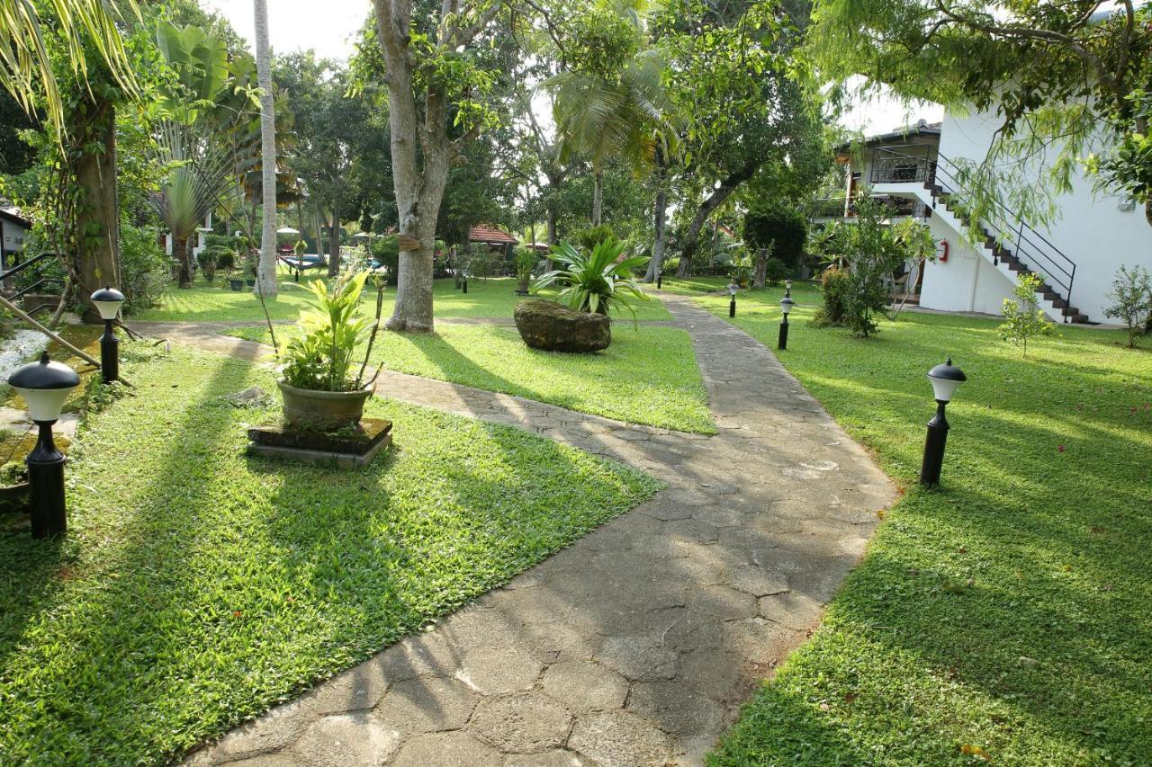 Ayurveda Centrum Lawrence Hill Paradise ฮิกคาดูวา ภายนอก รูปภาพ