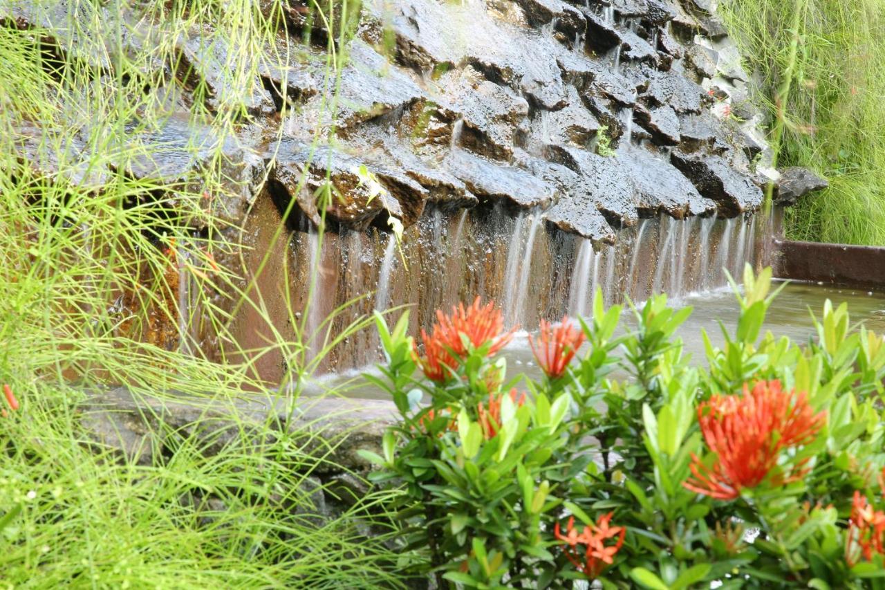 Ayurveda Centrum Lawrence Hill Paradise ฮิกคาดูวา ภายนอก รูปภาพ