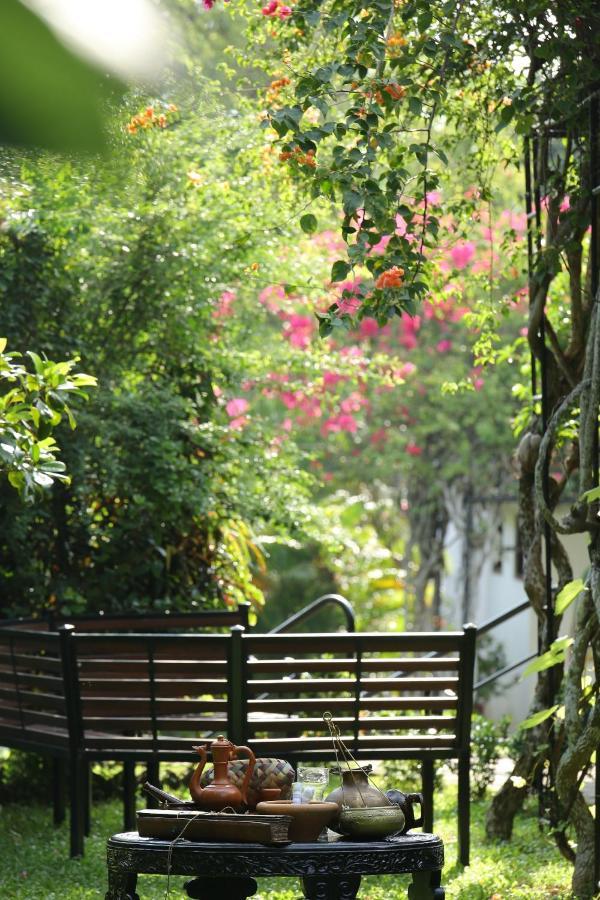 Ayurveda Centrum Lawrence Hill Paradise ฮิกคาดูวา ภายนอก รูปภาพ